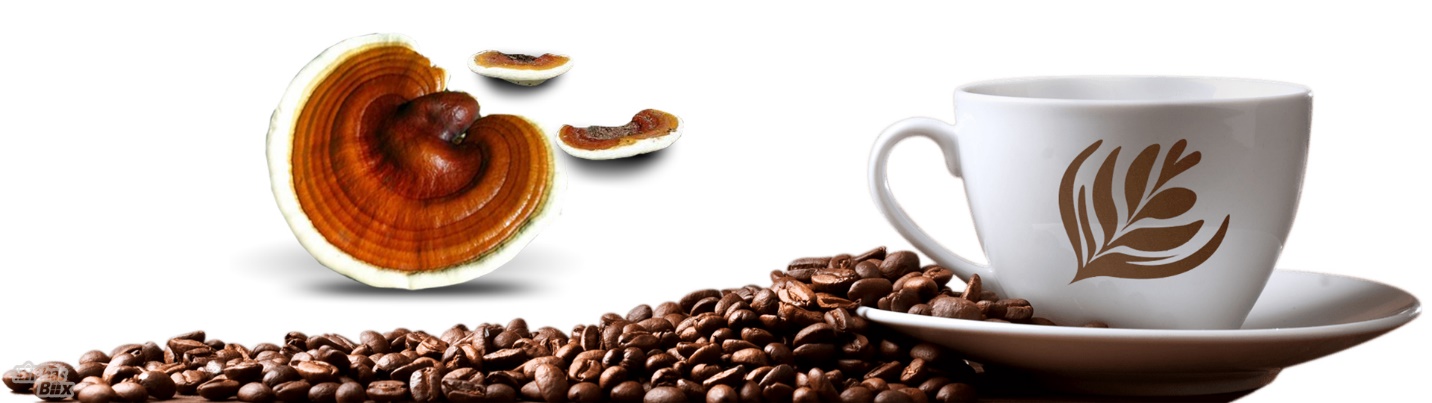 دلایل افزایش طول عمر با مصرف قهوه گانودرما 