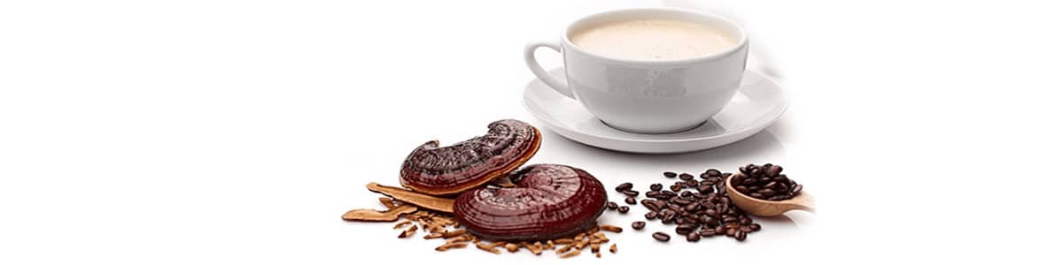 قهوه گانودرما