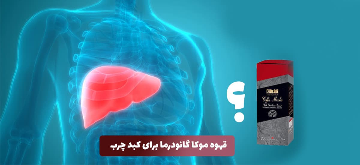 قهوه موکا گانودرما برای کبد چرب
