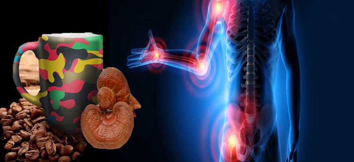 تاثیر قارچ گانودرما بر درمان روماتیسم