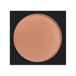 رژگونه لاکچری کوین 411