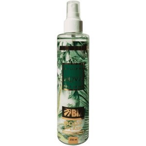 بادی اسپلش مردانه بیز BVLGARI AQVA