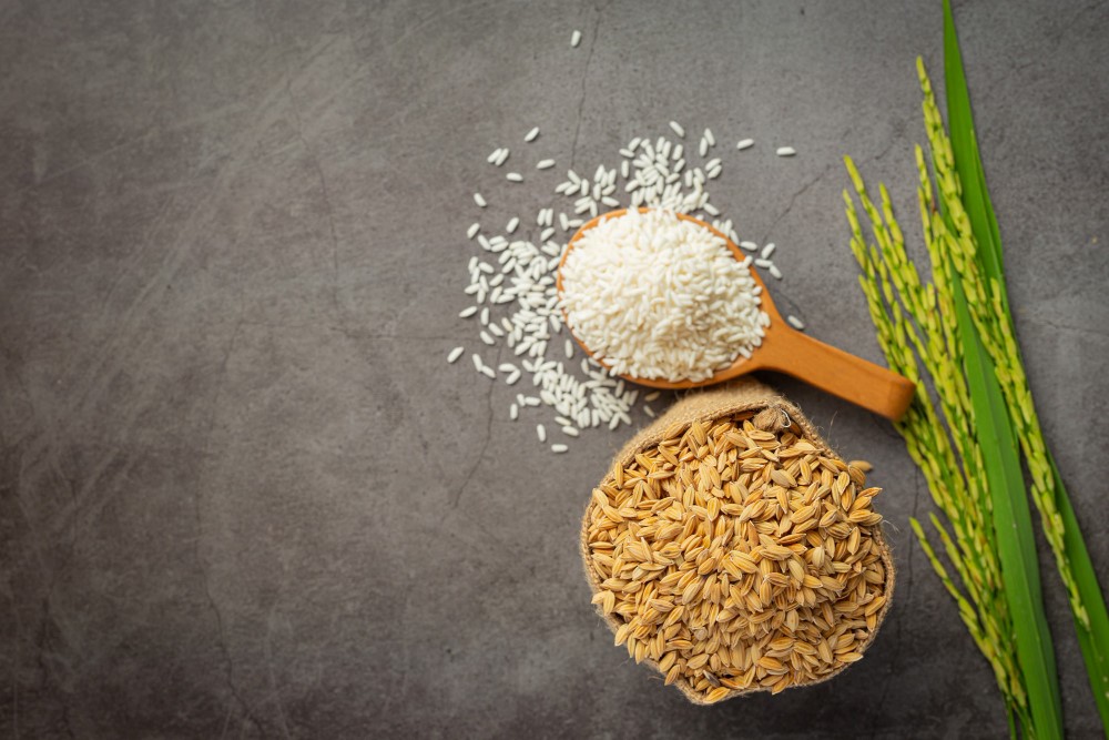 سبوس برنج چه تاثیراتی بر سلامت