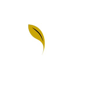 ستین