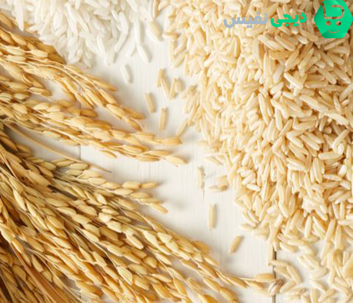 ویژگی‌های بهترین سبوس برنج برای دام