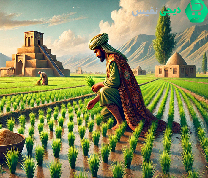 درباره سبوس برنج قدمت سبوس برنج در ایران |درباره سبوس برنج