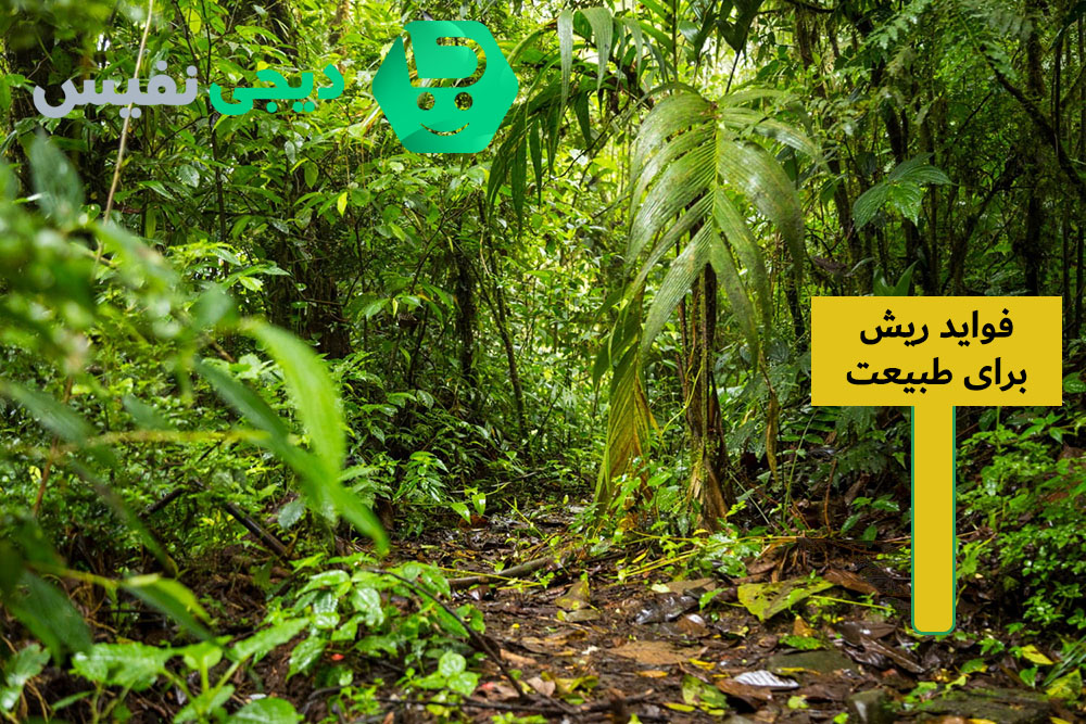 فواید ریش برای محیط زیست