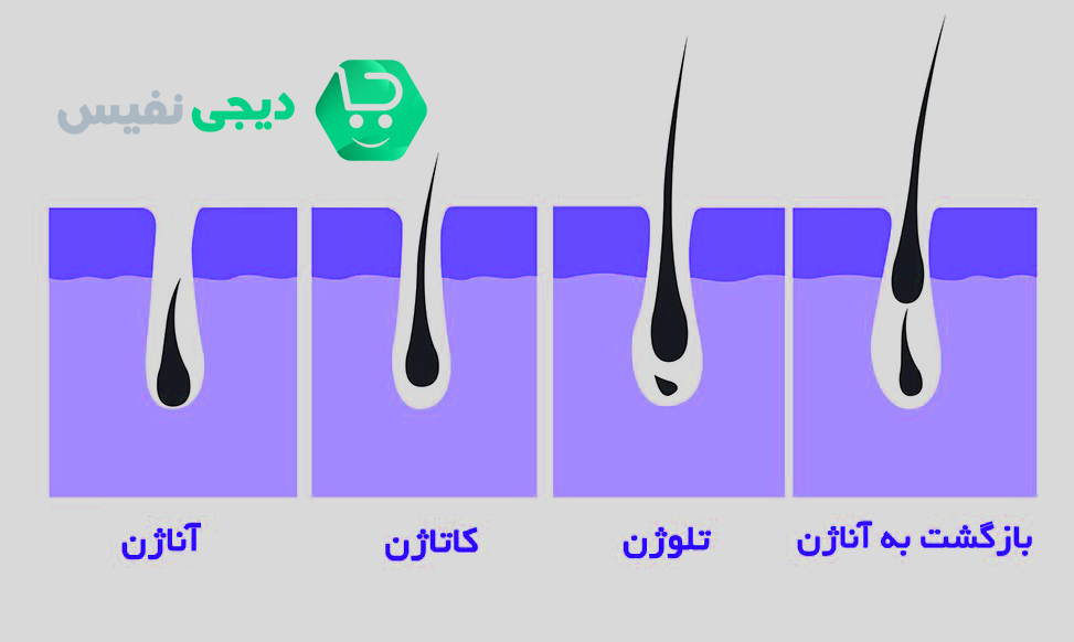چرخه رشد مو و نقش خواب در آن
