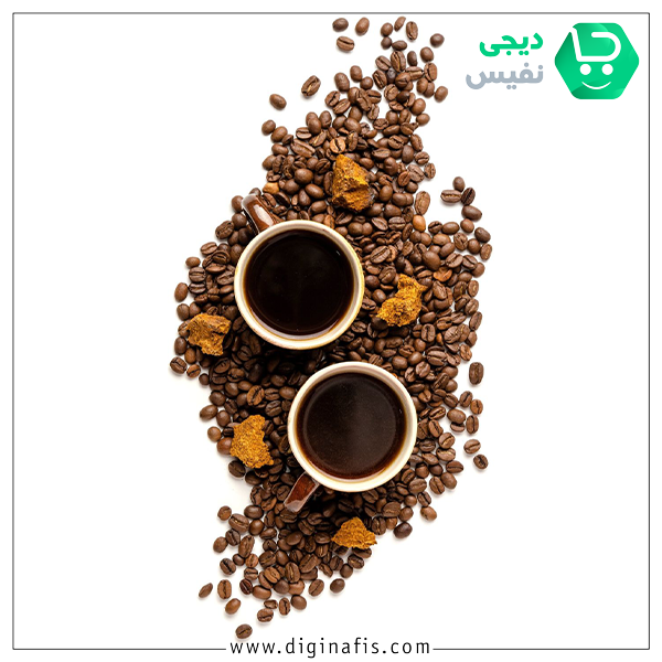 مراحل تولید قهوه|قهوه قارچ گانودرما