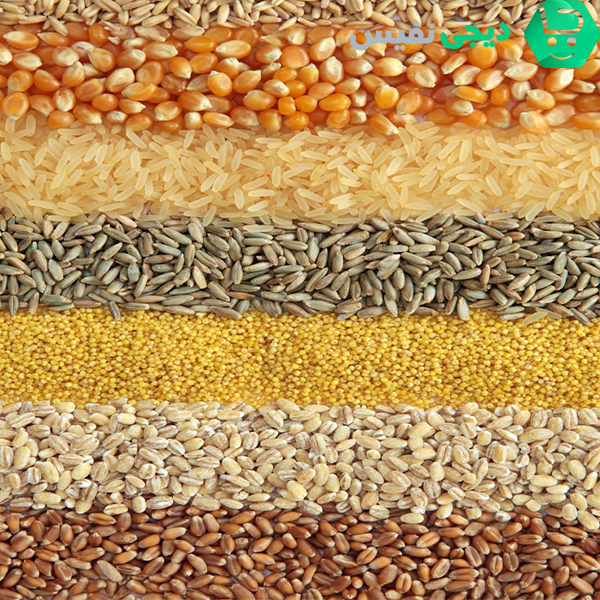 مزایای سبوس برنج|سبوس برنج چیست 🌟