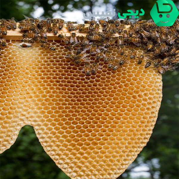 عسل بکر کوهی دکتر بیز  چیست؟