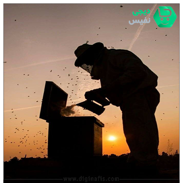 📌 معیارهای سنجش کیفیت عسل|بهترین عسل منطقه ایران