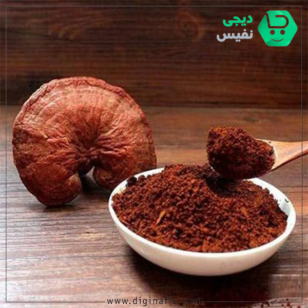 خواص و کاربردهای قارچ گانودرما