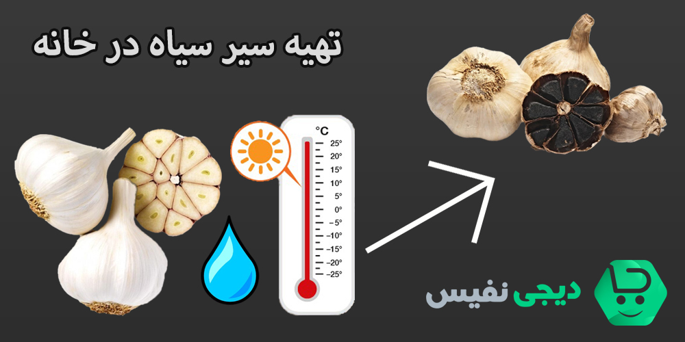 تهیه سیر سیاه در خانه