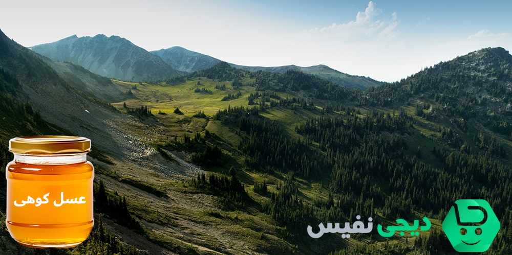 چالشهای تولید و برداشت عسل کوهی