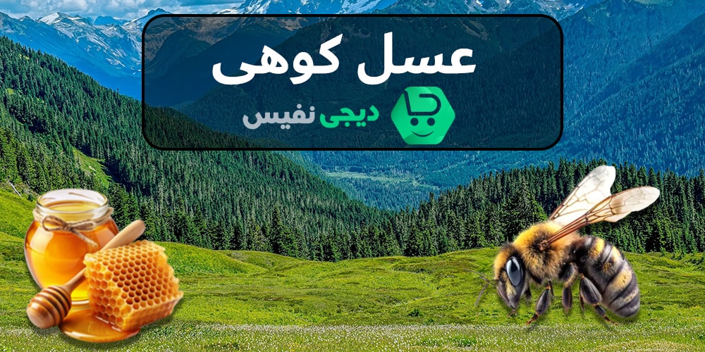 تولید عسل کوهی