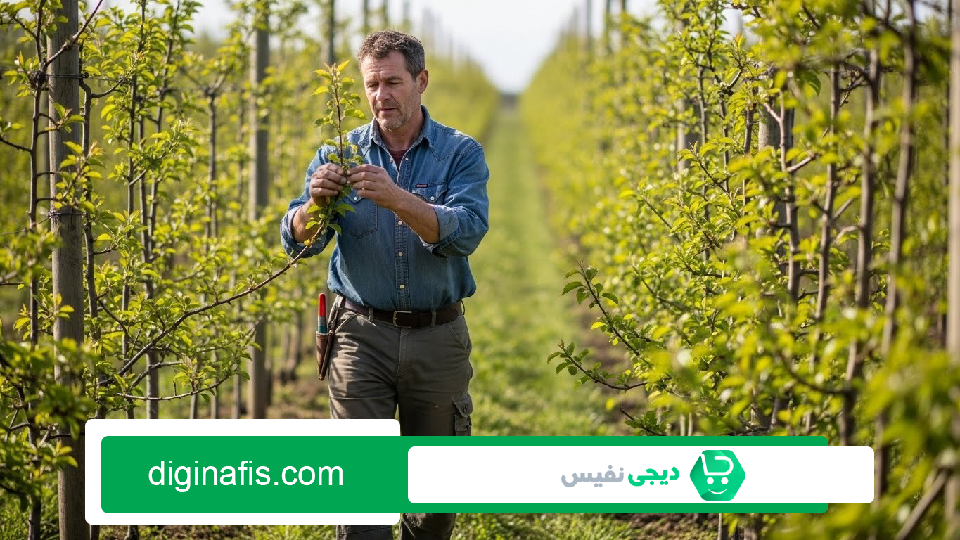 چطور تشخیص دهیم گیاه به چه نوع تغذیهای نیاز دارد