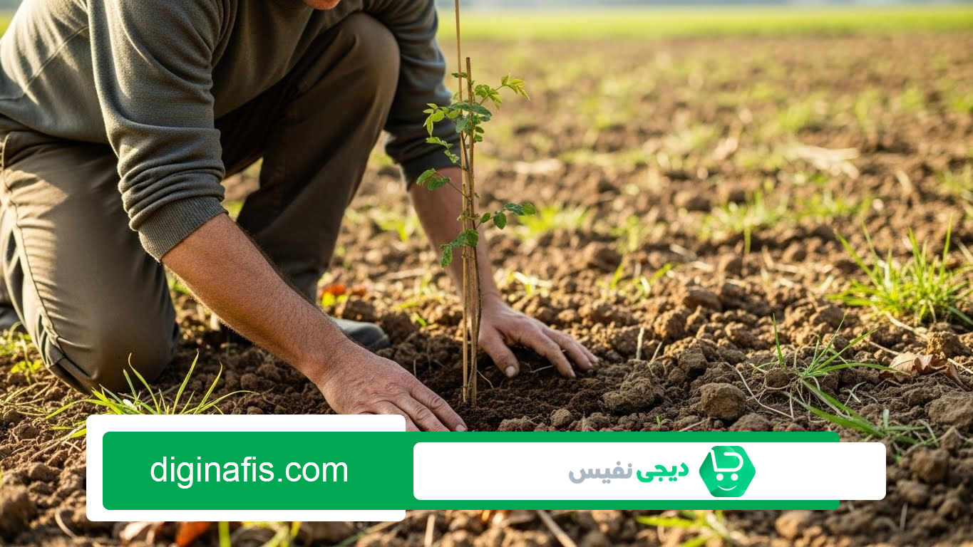 بهترین کود برای افزایش ریشه زایی نهال ها