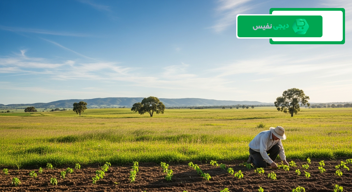 بهترین کود برای درخت انار