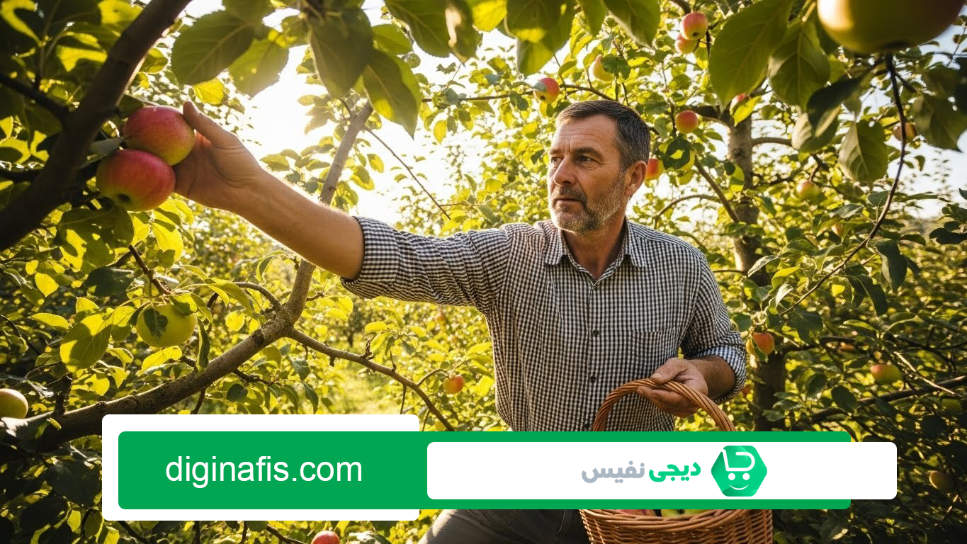 چطور تشخیص دهیم گیاه به چه نوع تغذیهای نیاز دارد
