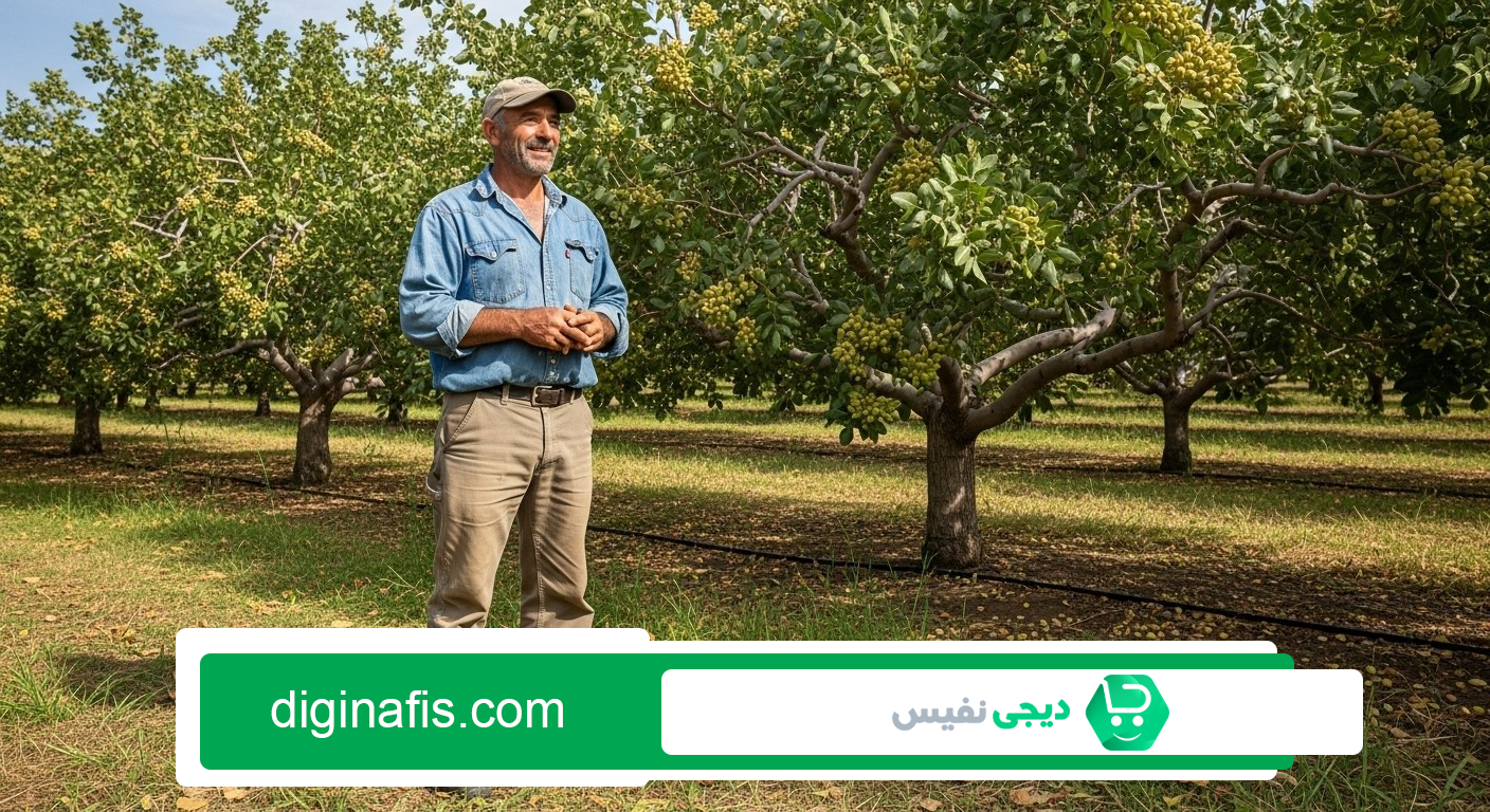 بهترین کود برای درخت پسته
