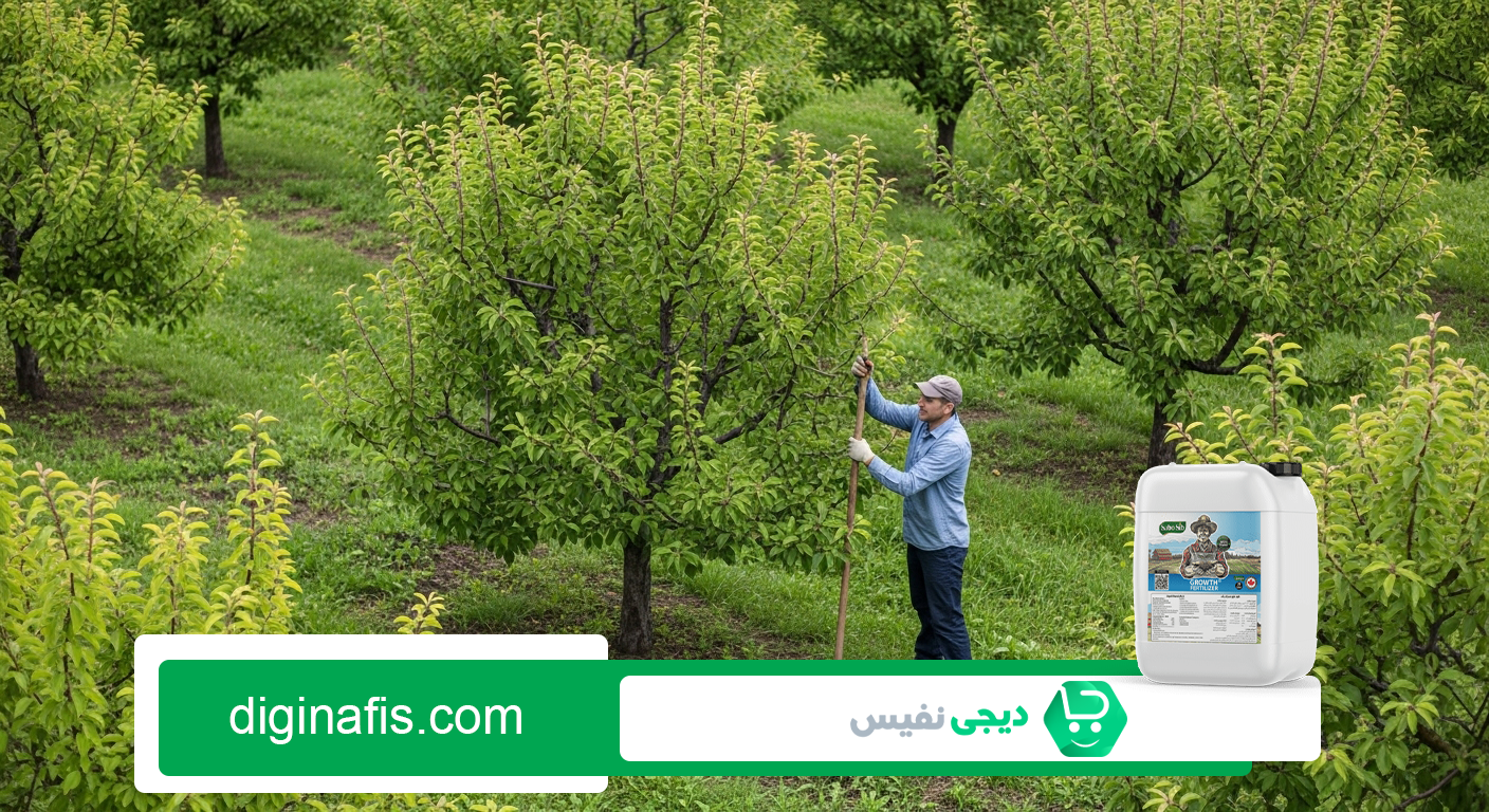 کود هیومیک اسید برای چه گیاهانی مناسب است