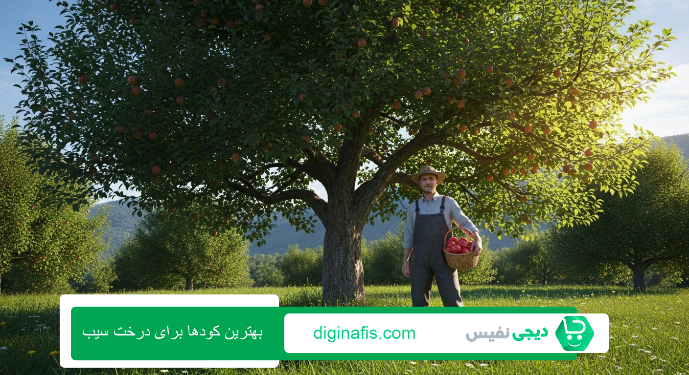 بهترین کودها برای درخت سیب
