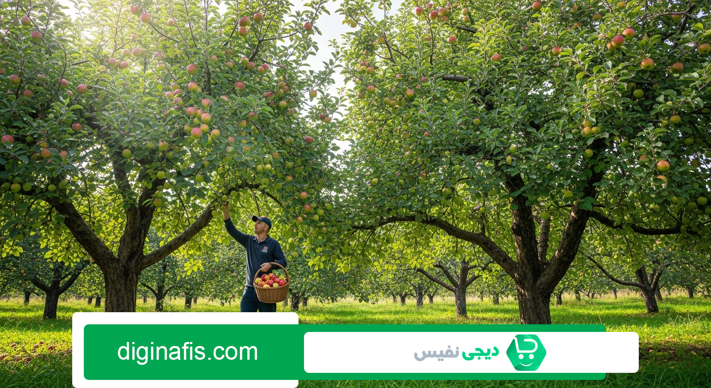 بهتذین کود برای درخت سیب