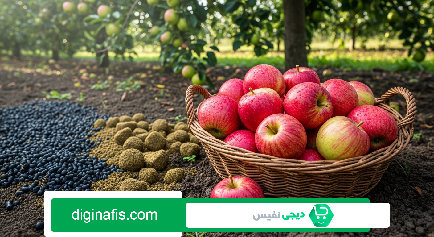 بهترین کودها برای درخت سیب