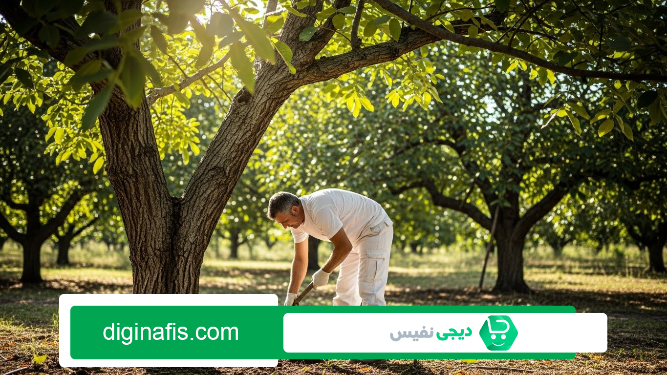 بهترین کود برای درخت گردو